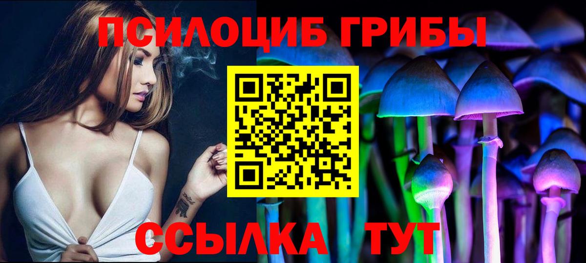 Псилоцибиновые грибы прущие грибы  Вход с VPN  Муром 