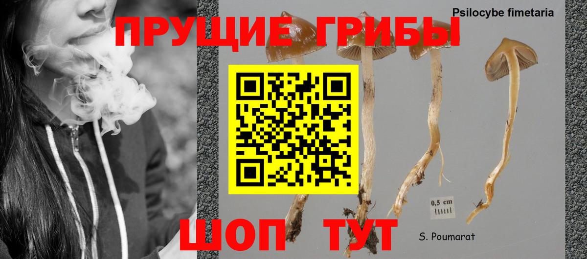 Галлюциногенные грибы мухоморы Муром